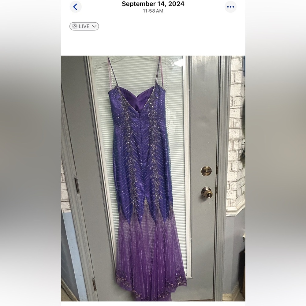 Precious Formals Gown/ prom dress